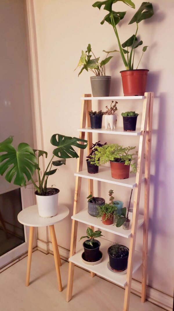 Estante estilo Nórdico